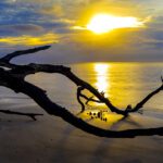 Top 10 Landscape Photographers in Tampa Bay to Know in 2026