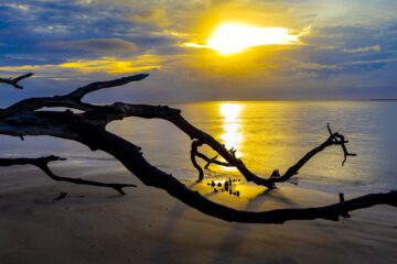 Top 10 Landscape Photographers in Tampa Bay to Know in 2026