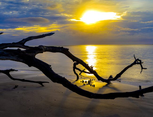 Top 10 Landscape Photographers in Tampa Bay to Know in 2026